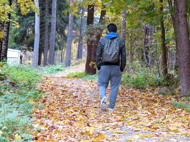 Takaapäin kuvattu henkilö kävelemässä syksyllä puistotiellä, ympärillä puita ja maassa oransseja lehtiä.