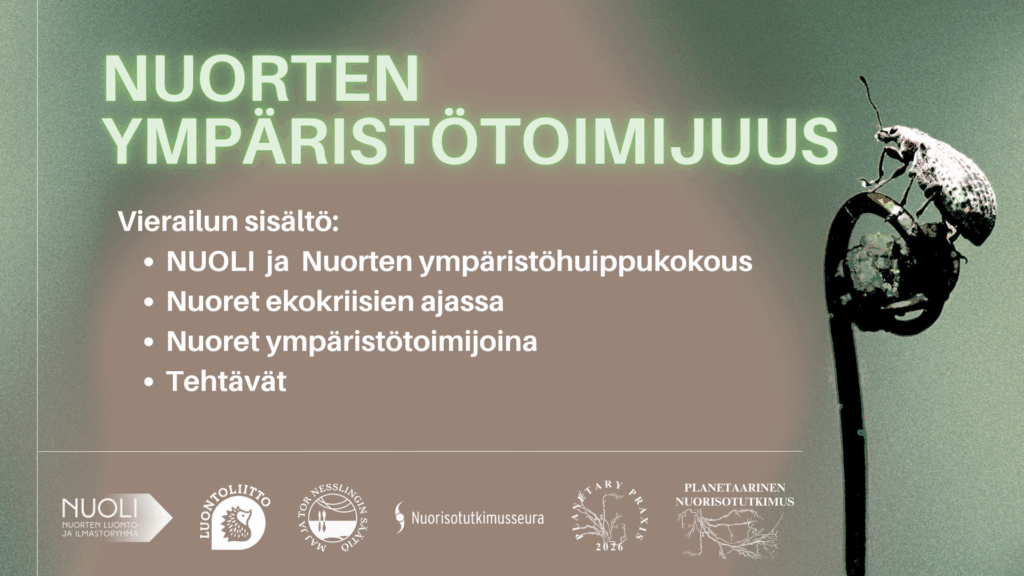 Kuvakaappaus Powerpoint-diasta, jossa otsikkona Nuorten ympäristötoimijuus ja sen alla vierailun sisältö:
- Nuoli ja nuorten ympäristöhuippukokous
- Nuoret ekokriisien ajassa
- Nuoret ympäristötoimijoina
- Tehtävät